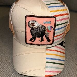 Colorful Striped Goorin Bros Cap